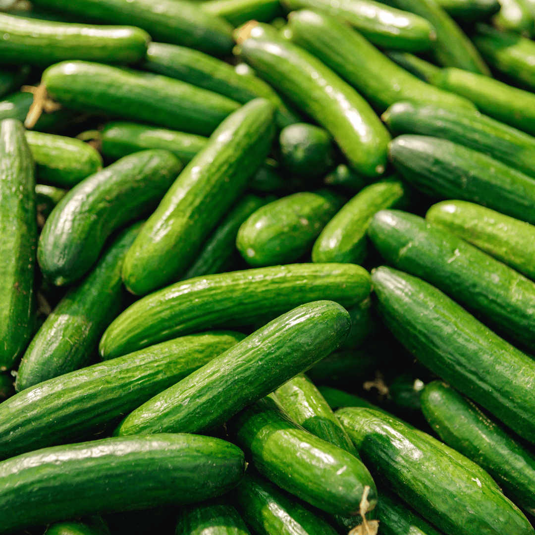 A close-up photograph of fresh, vibrant green cucumbers piled together, showing their glossy skin and natural texture.