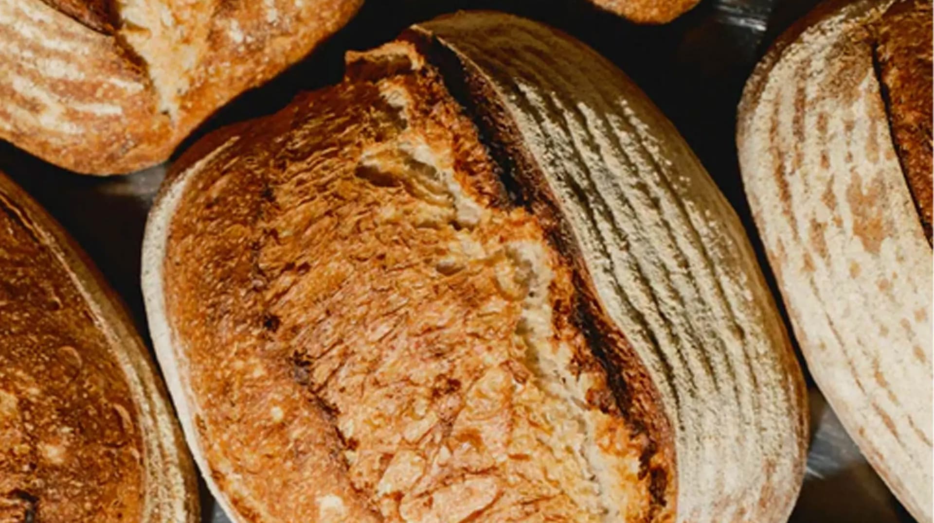 Multiple freshly baked sourdough bread loaves arranged on a dark surface, showing scored tops and flour-dusted crusts with natural scoring patterns.