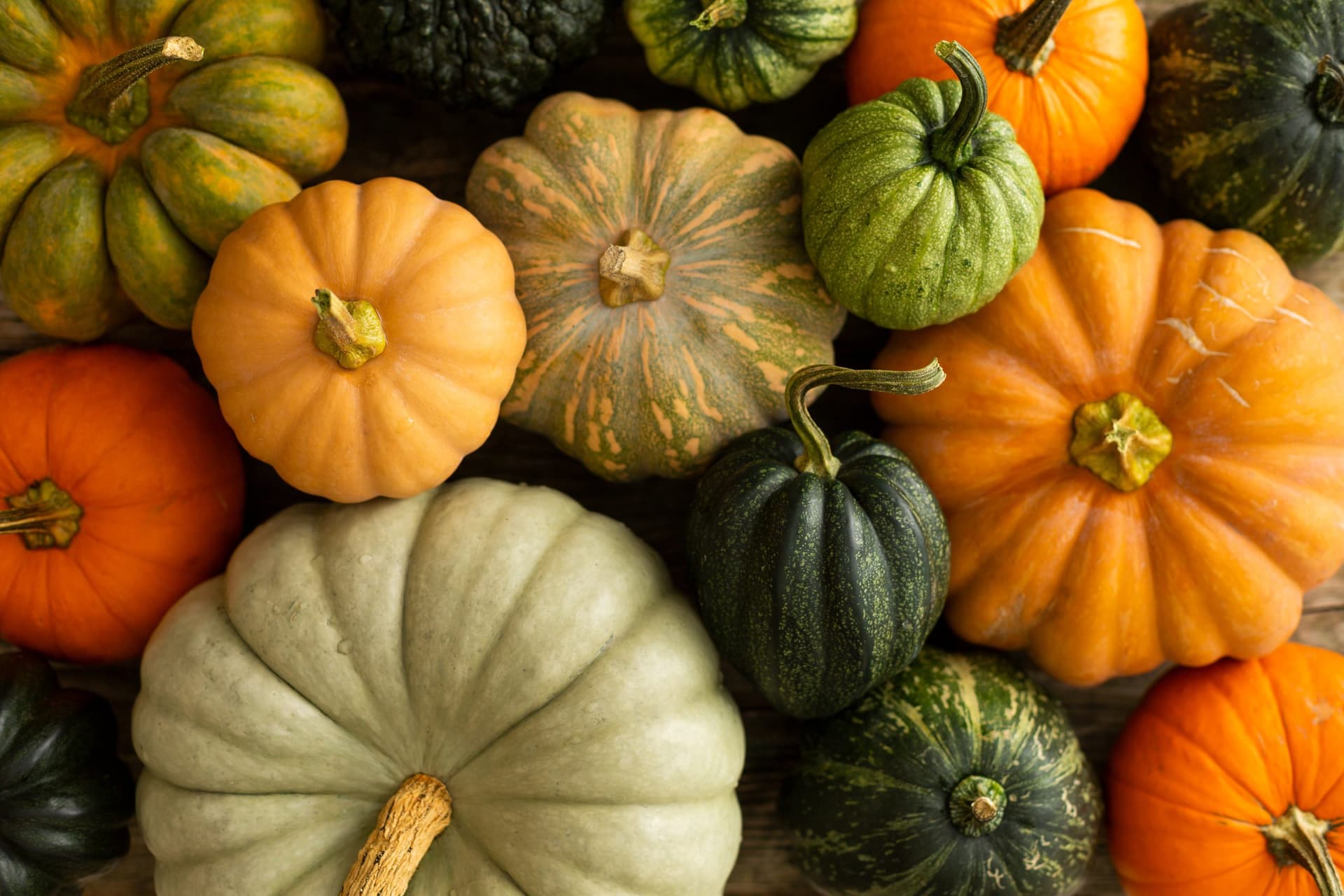 A colourful arrangement of assorted autumn squashes and pumpkins in orange, green, and cream colours, displayed closely together.