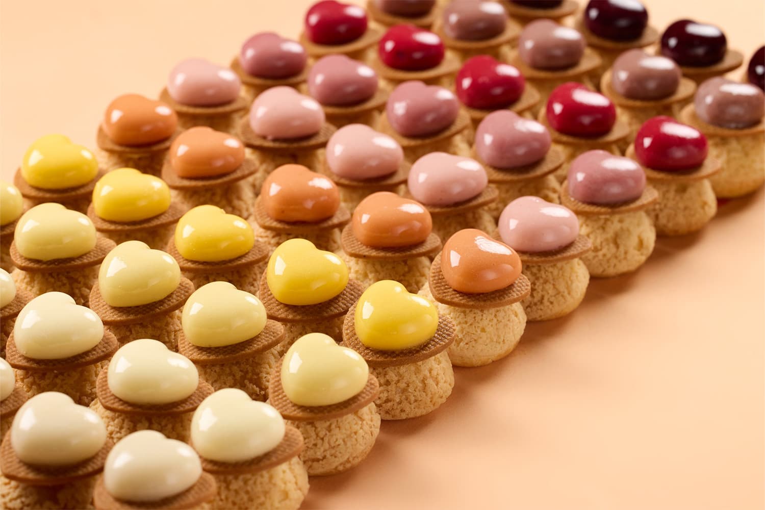 An array of decorative glazed fruit coulis domes in pastel colours arranged on round biscuit bases, progressing from cream and yellow through orange, pink, and burgundy.