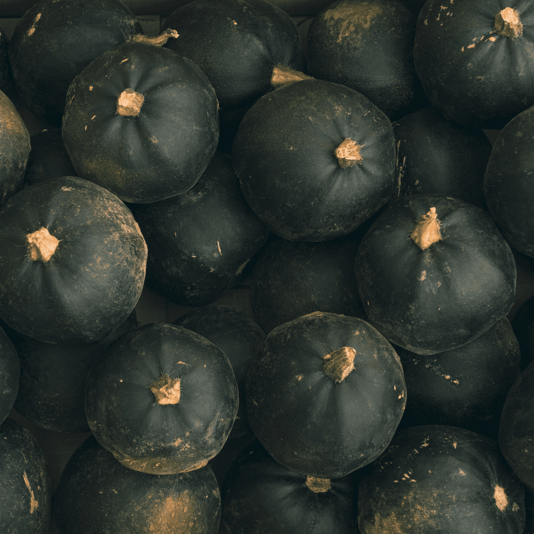 Overhead view of multiple dark green gem squash with characteristic brown stems, arranged closely together showing natural produce texture and variation.