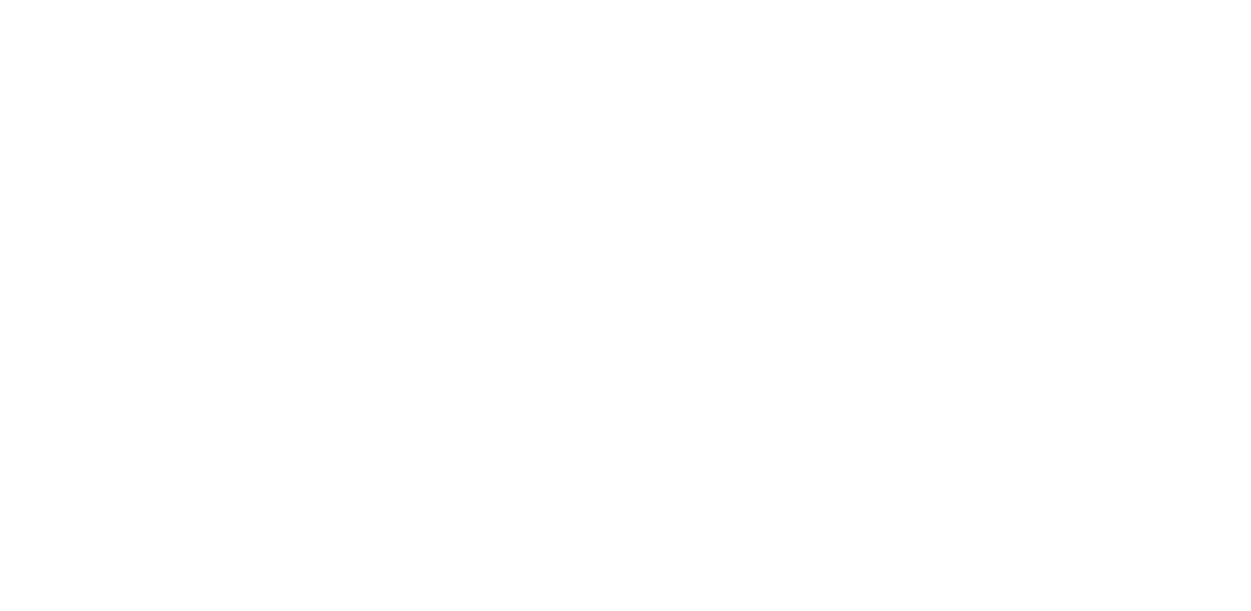 Les Vergers Boiron logo featuring white text and a stylised leaf design