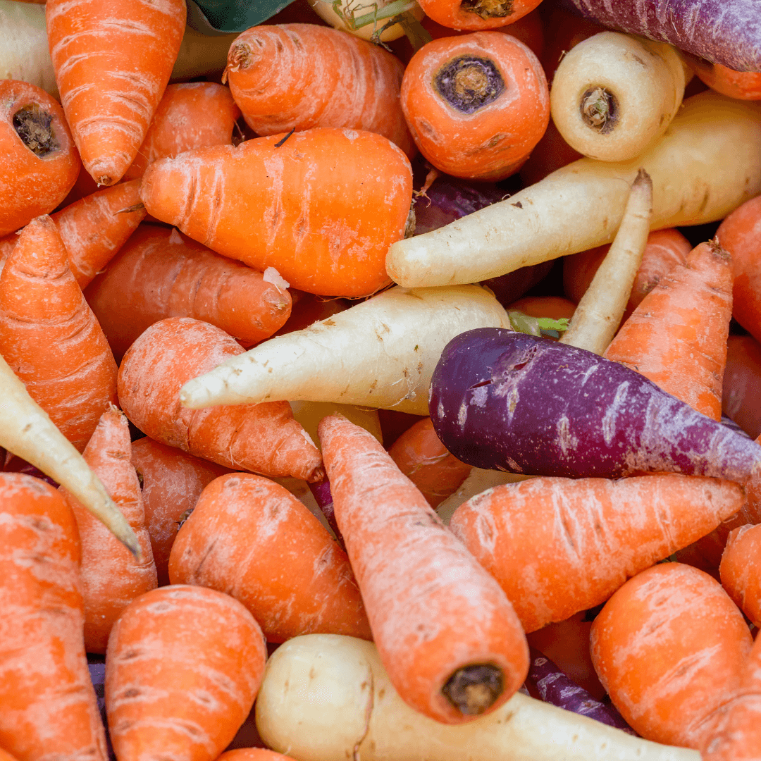 A colourful assortment of fresh mixed Chantenay carrots in orange, cream, and purple varieties, mixed with other root vegetables including parsnips and beetroot.