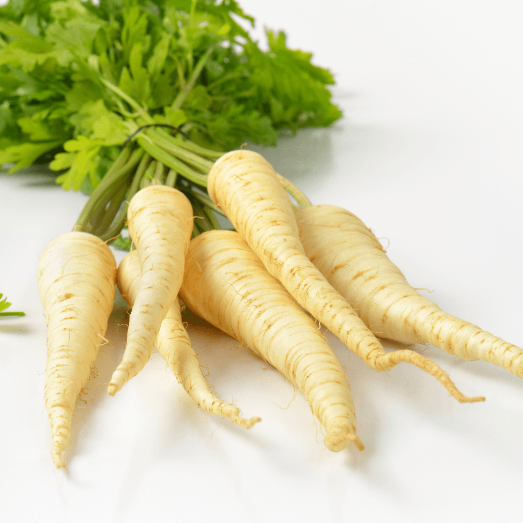 Five cream-coloured parsley root vegetables arranged on a white background with fresh green parsley leaves attached at the top.