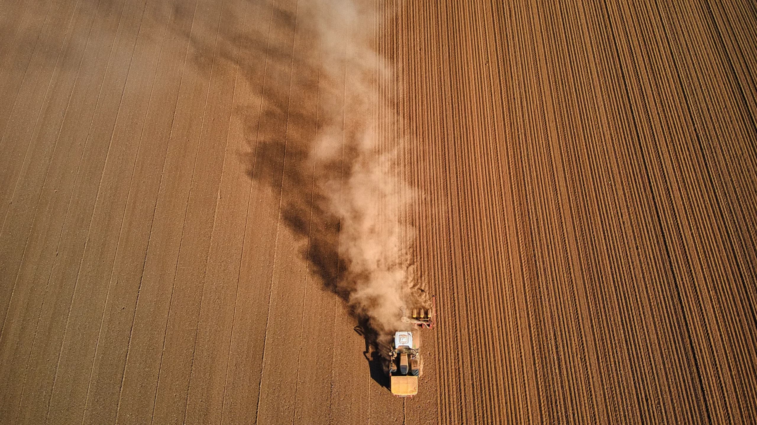Wildfarmed Flours: The Future of Regenerative Agriculture in Your Kitchen