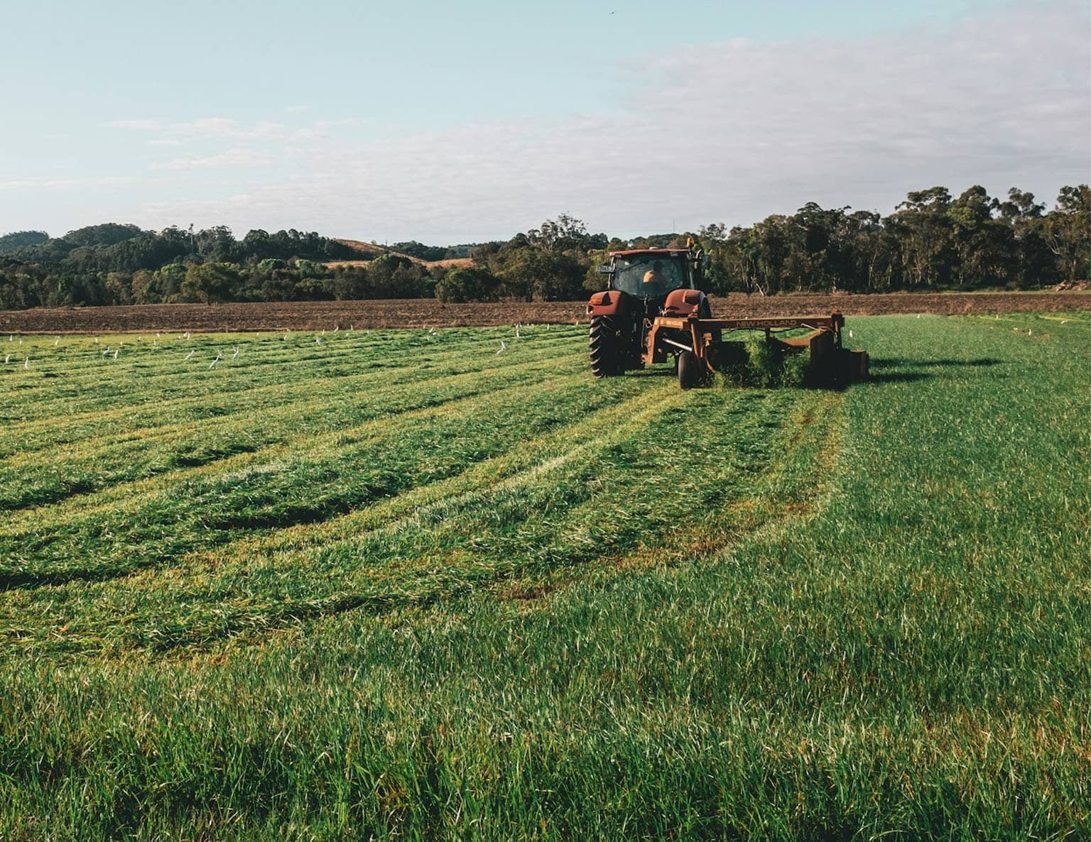 An orange tractor with attached farming equipment working in a green crop field, with forested hills visible in the background under a clear sky.