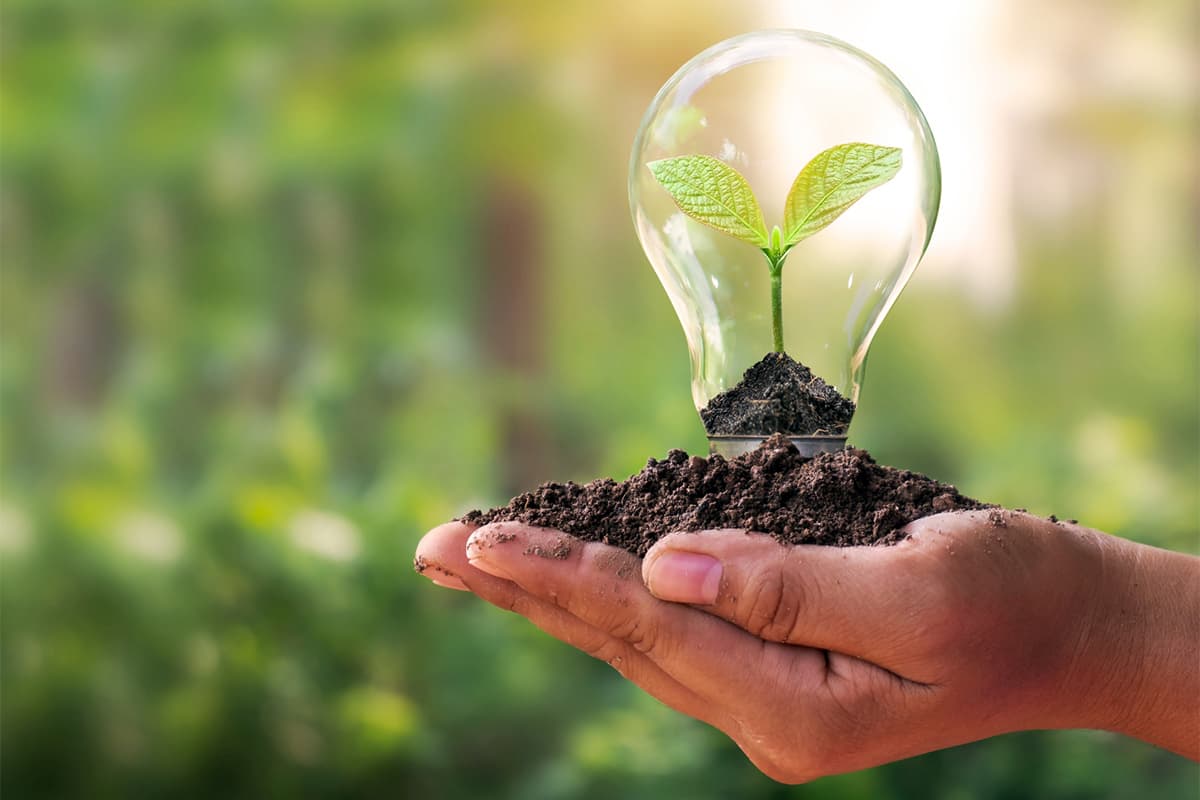 A hand holding soil with a glass light bulb containing a young green plant with two leaves, symbolising sustainable development and green innovation against a blurred natural background.