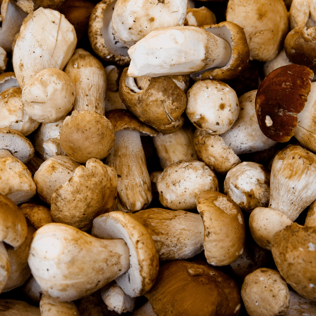 Close-up photograph of various raw mushrooms including button, cremini, and portobello varieties with visible caps, stems, and flesh, seasoned with black pepper.