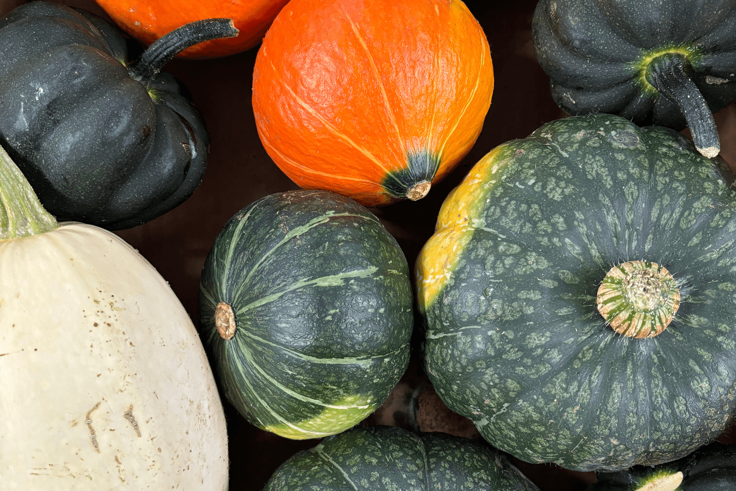 What's In Season This September