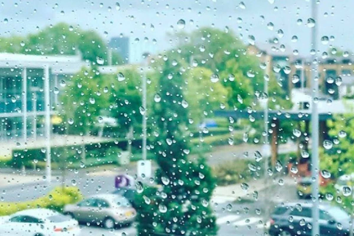 View through a rain-covered window showing a blurred garden centre or nursery with greenhouse structures, plants, and vehicles in the background.
