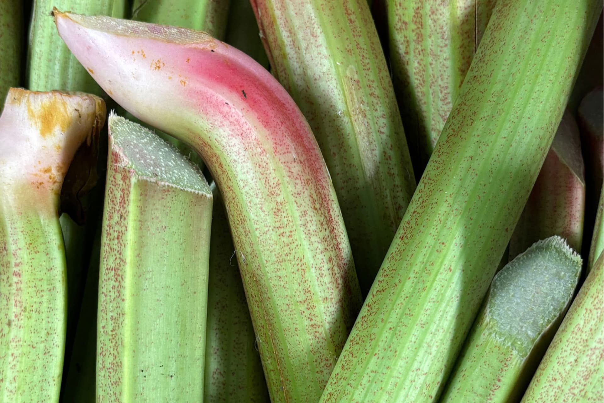 Close-up of fresh green leeks with white bases and reddish-brown spots, arranged together to show natural produce texture and colour variation.