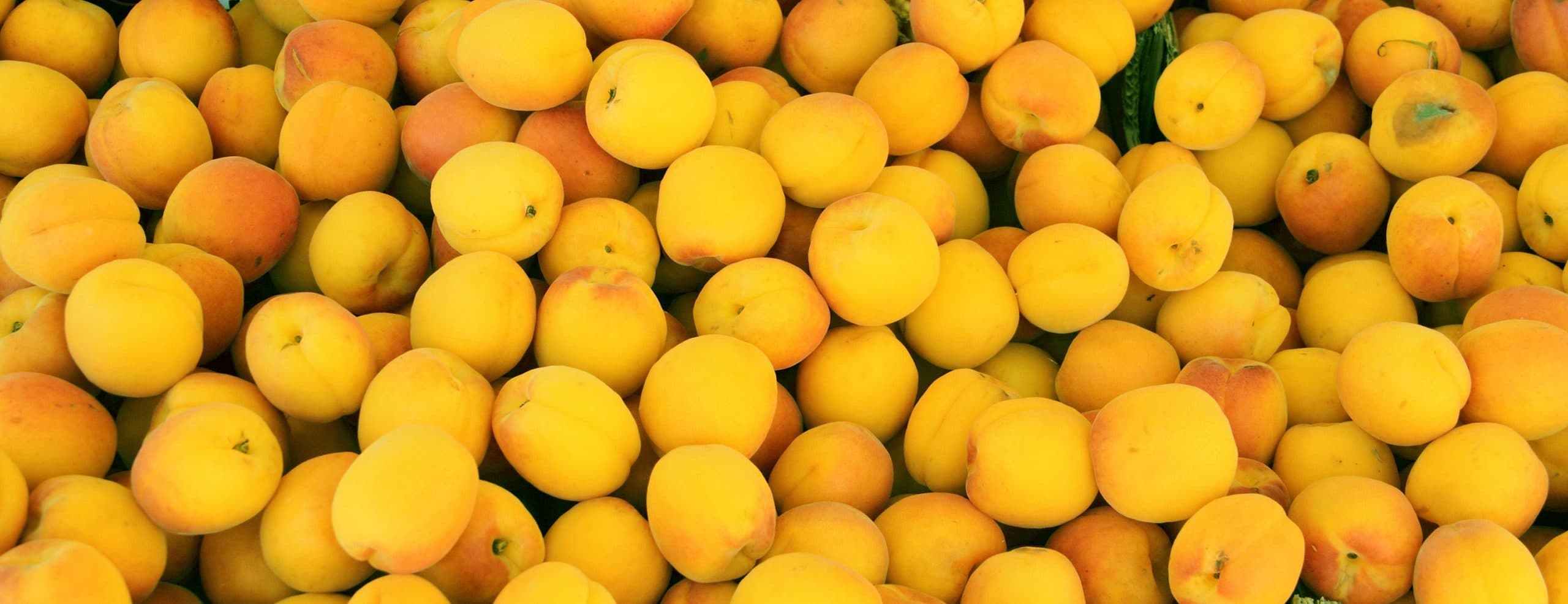 Close-up overhead view of numerous fresh yellow and orange peaches clustered together, showing natural variation in colour and texture.