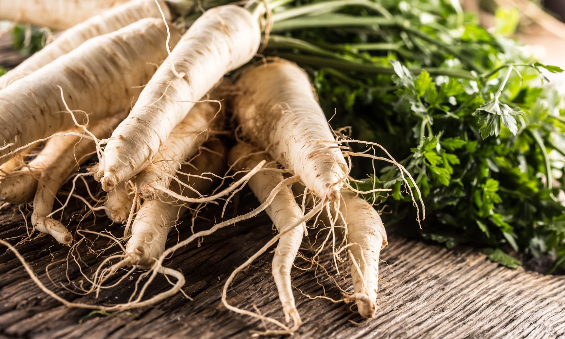 Freshly harvested parsnips with soil and roots still attached, displayed on a wooden surface alongside fresh green herbs and foliage.