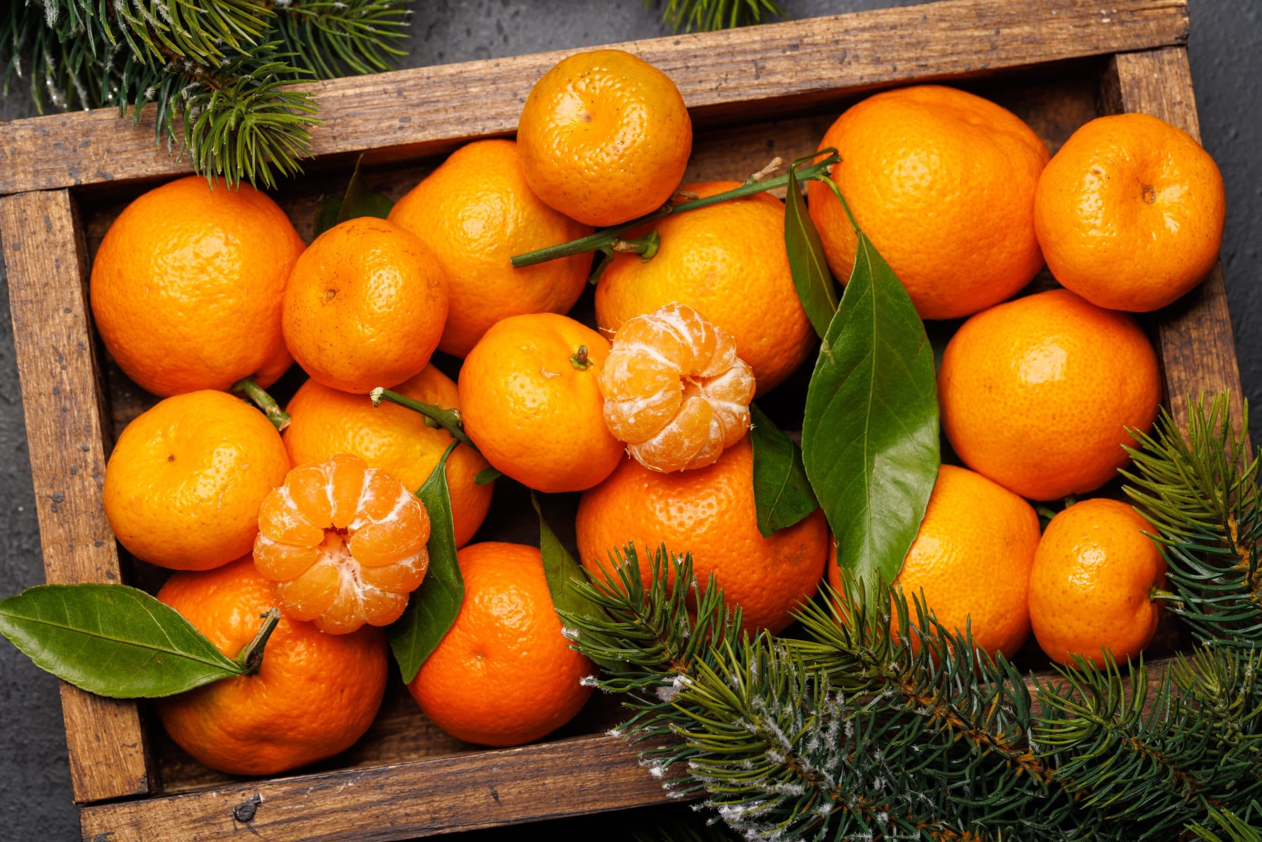 What's In Season This November